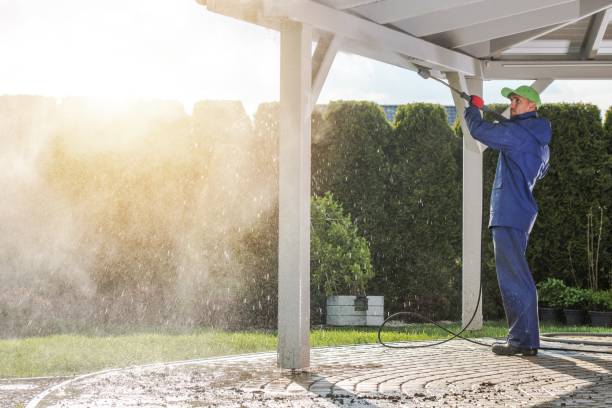 Best Playground Equipment Cleaning  in Falconer, NY